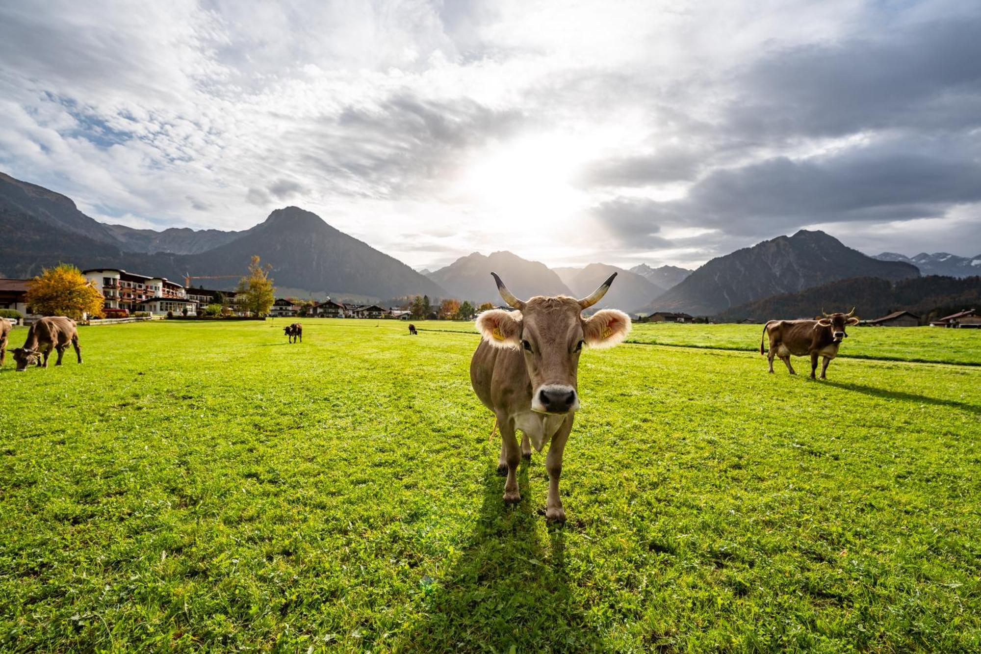 Best Western Plus Hotel Alpenhof Oberstdorf Buitenkant foto